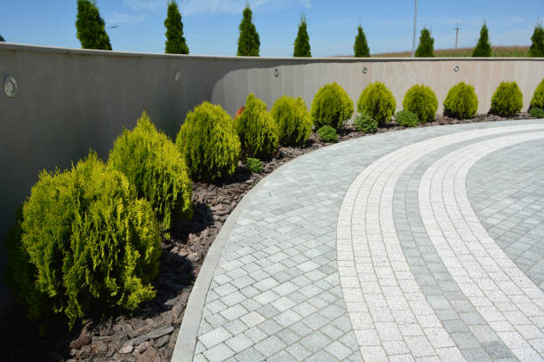 Best Driveway Pavers Contractor  in Windsor, CA